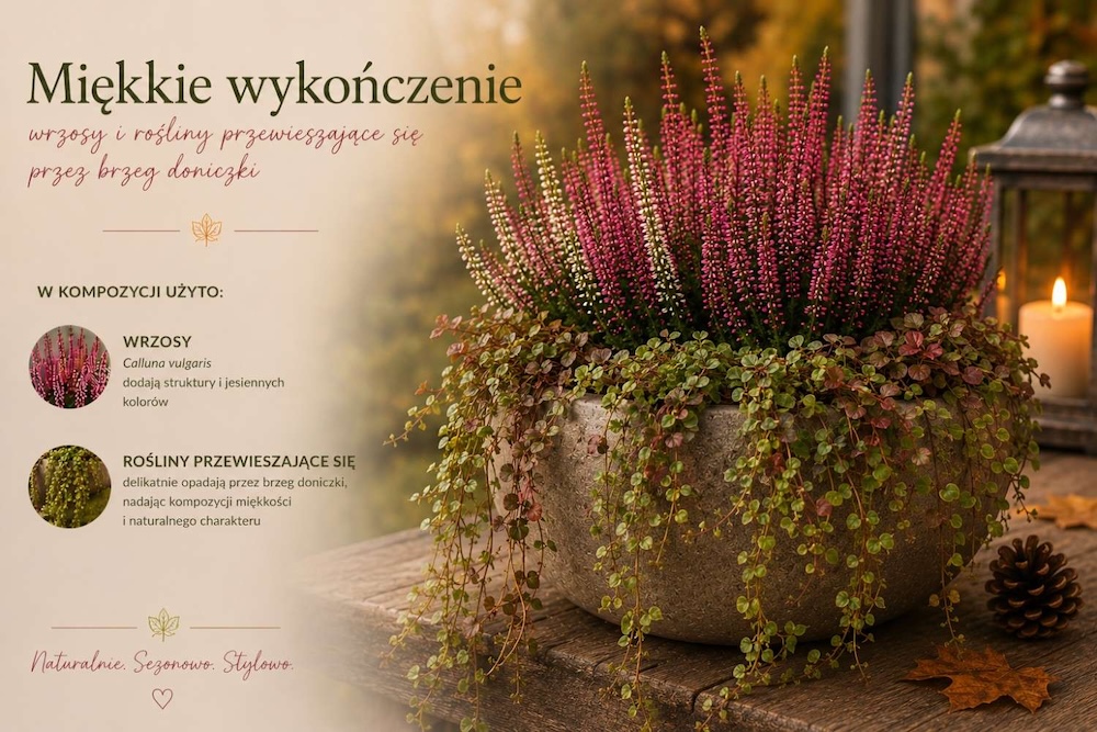 miekka-kompozycja-z-wrzosem zwisająca kompozycja z wrzosem